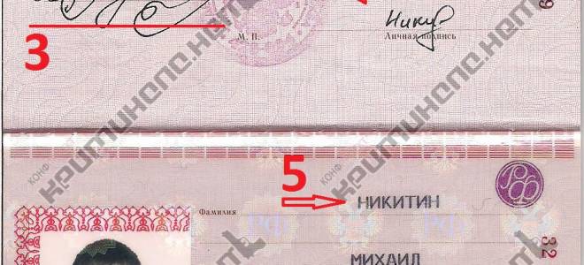 Что такое внутренний паспорт? чем он отличается от паспорта гражданина рф?