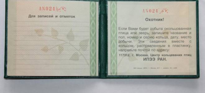 Что нужно для продажи охотничьих ножей (холодное оружие) в своем магазине?